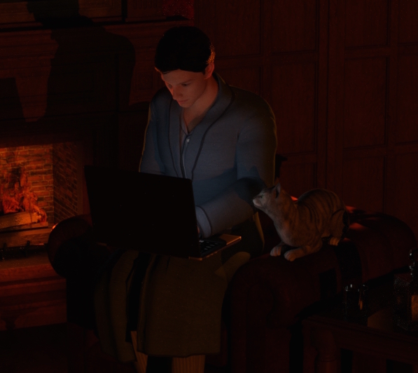 D. W. Weaver sitting in a dark living room by the fireplace writing his next novel on a laptop. A cat is watching his work from the armrest. A glass with an adult beverage is sitting on an end table next to the chair.